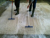 Bild 9 ISFAHAN-Orient-Teppich-Handels-GmbH in Schweinfurt