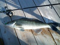 Bild 47 Stefans Angelshop in Regensburg