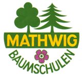 Bild 1 Mathwig in Wendelstein