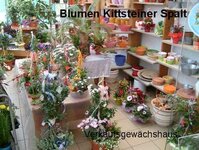 Bild 1 Kittsteiner in Spalt
