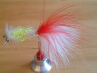 Bild 66 Stefans Angelshop in Regensburg