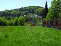 Bild 7 Lauterbach in Weigendorf
