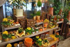 Bild 2 Blumen Gerstenlauer in Veitsbronn