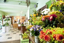 Bild 5 Höllein Iris - Blumen Schmidt in Nürnberg