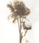 Bild 6 Thomas Edgar in Nüdlingen