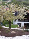 Bild 7 Morat Eckhard Gartengestaltung Morat in Randersacker