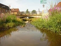 Bild 5 Stadt Zeil a. Main in Zeil a.Main