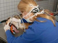 Bild 2 Kleintierpraxis Steinel Jonas Dr. in Johannesberg