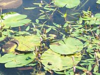 Bild 57 Stefans Angelshop in Regensburg