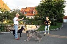 Bild 2 Bräunlein in Langenfeld