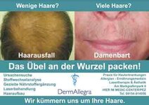 Bild 6 Amon in Pommelsbrunn