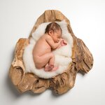 Bild 9 Foto-Studio Müller in Karlstadt