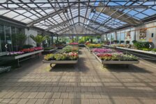 Bild 1 Pudell Gartenbau in Haßfurt