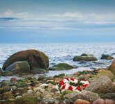 Bild 3 Pietät Bestattungen in Lappersdorf