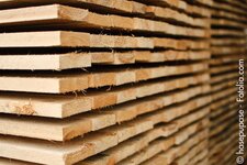 Bild 1 Bauer in Schierling