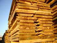 Bild 1 Sägewerk Reitz GmbH in Wonfurt