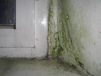 Bild 6 Keidel in Eisingen
