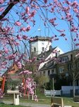 Bild 3 Stadtverwaltung in Wunsiedel