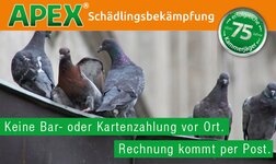 Bild 2 PCS GmbH APEX Bamberg in Köln