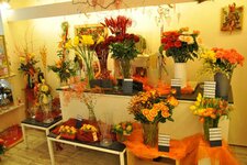 Bild 6 Blumen Gerstenlauer in Veitsbronn