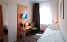 Bild 4 Geiger in Stein