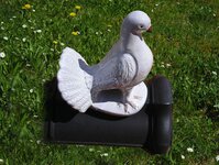 Bild 4 Schuster Bedachungs- und Fassaden GmbH in Auerbach i.d.OPf.