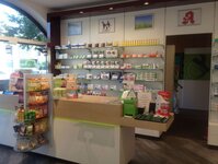 Bild 8 Eichen-Apotheke in Stein
