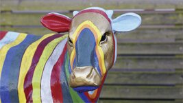 Bild 1 Schweizer in Feuchtwangen