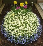 Bild 1 Friedhofsgärtnerei Götz GmbH in Würzburg