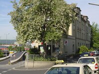 Bild 12 Mathilden-Apotheke in Würzburg