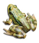 Bild 15 Gärten fürs Leben, Opitz Cornelia in Pettstadt