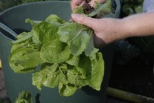 Bild 6 Maschinenring Haßgau e.V. in Hofheim i.UFr.