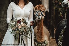 Bild 10 Pusteblume Inh. Standfest-Schneider in Erlangen