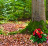 Bild 2 Pietät Bestattungen in Lappersdorf