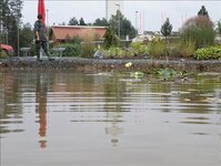 Bild 8 Die Teichreiniger in Erlangen