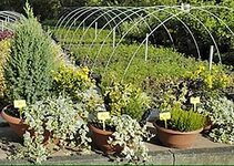 Bild 5 Mathwig in Wendelstein