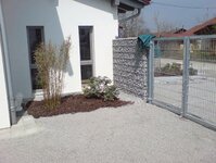 Bild 6 Baumgart