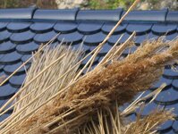 Bild 2 Scholl Dach GmbH in Nürnberg