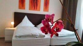 Bild 3 Geiger in Stein