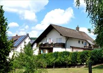 Bild 4 Rosenbusch in Großheubach