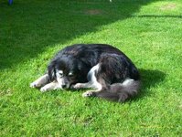 Bild 7 Hänel in Saal a.d.Donau