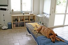 Bild 3 Karl in Schwabach