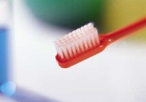 Bild 1 Peter in Forchheim