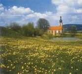 Bild 1 Scheuerer in Moosbach