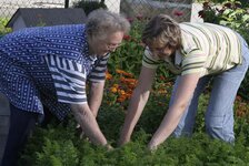 Bild 2 Ring für Familiendienstleistungen Unterfranken e.V. beim Maschinenring Rhön-Grab in Bad Neustadt a.d.Saale