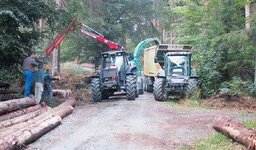 Bild 5 Amt für Ernährung, Landwirtschaft u. Forsten Bamberg mit Landwirtschaftsschule in Bamberg