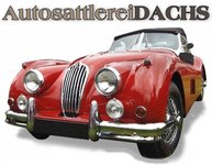 Bild 1 Dachs in Nürnberg