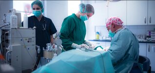 Bild 5 Tierärztliche Praxis für Kleintiere Dr. med. vet. Uwe Reinhard in Lauf