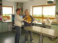 Bild 4 Sonnewald-Daum in Hummeltal