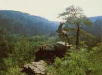 Bild 3 Gasthaus "Zum Hirschsprung" in Issigau